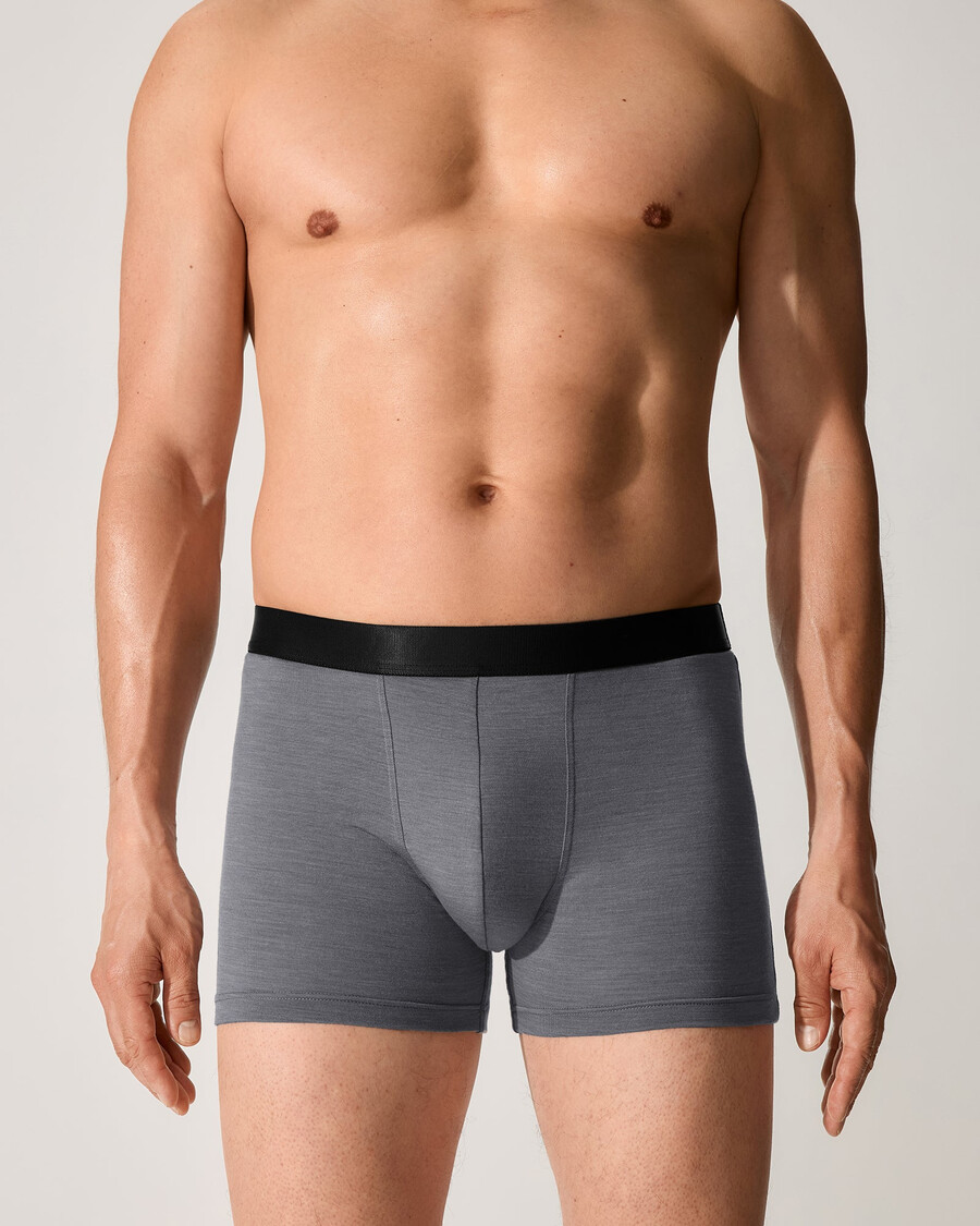 3 × herren-boxershorts aus merinowolle in graumeliert jetzt kaufen — cdlp