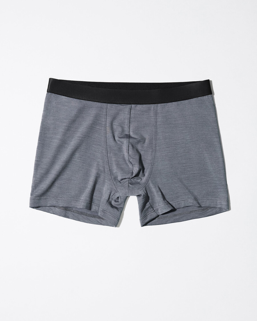 3 × herren-boxershorts aus merinowolle in graumeliert jetzt kaufen — cdlp