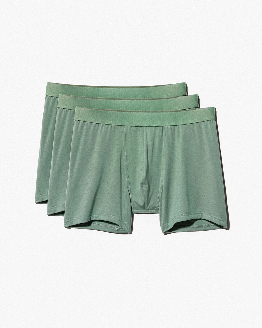 12 herren-boxershorts in salbeigrün jetzt kaufen — cdlp