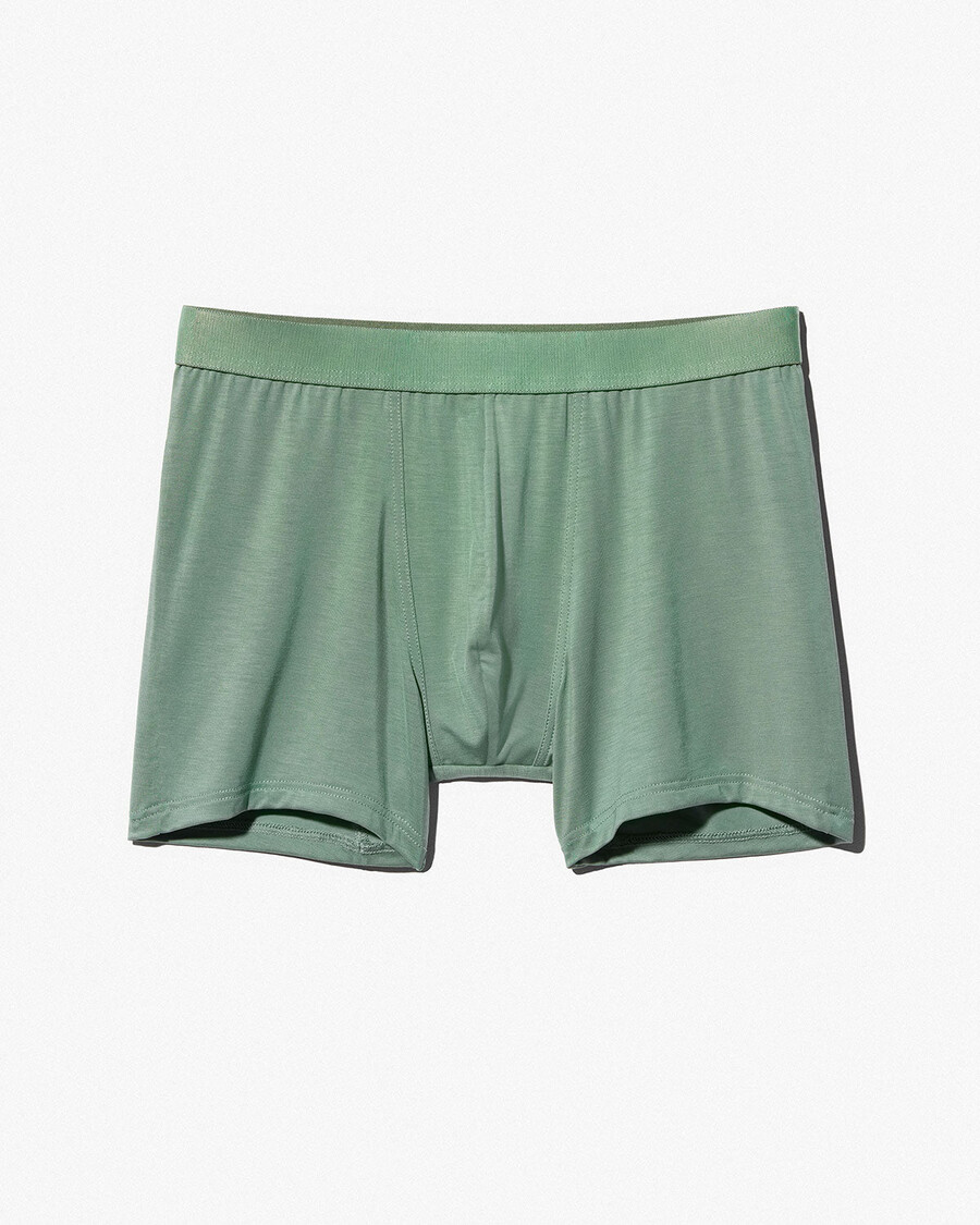 herren-boxershorts in salbeigrün jetzt kaufen — cdlp