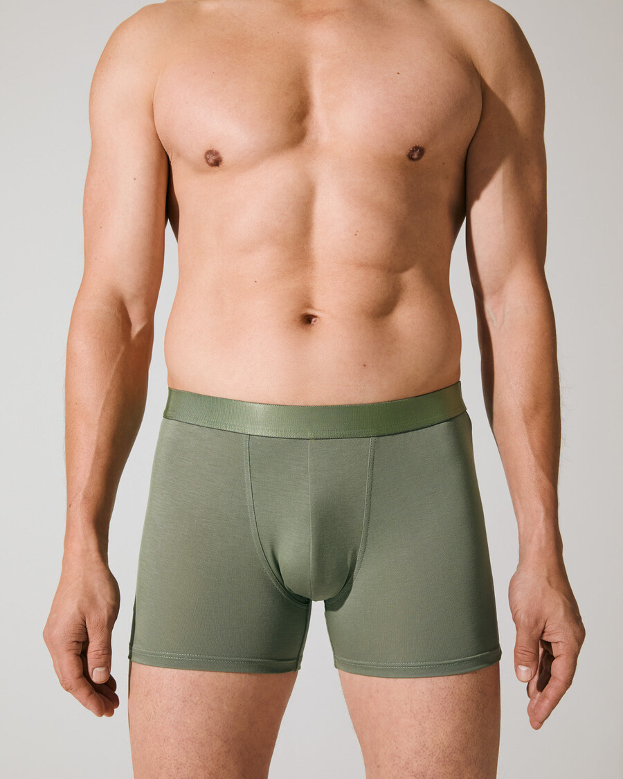 3er-pack herren-boxershorts in schwarz weiß und salbei jetzt kaufen — cdlp
