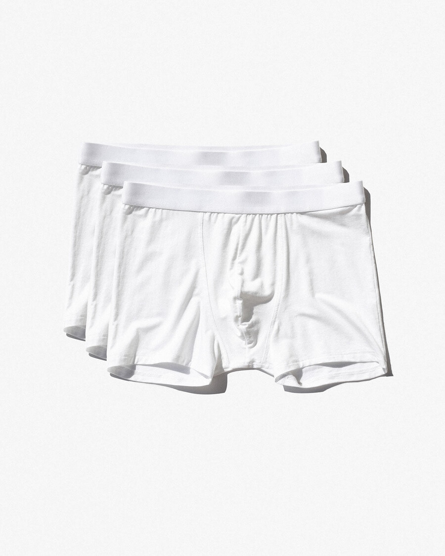 12 herren-boxershorts in weiß jetzt kaufen — cdlp