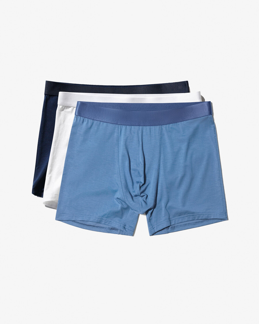 12 herren-boxershorts in weiß dunkelblau und azurblau jetzt kaufen — cdlp