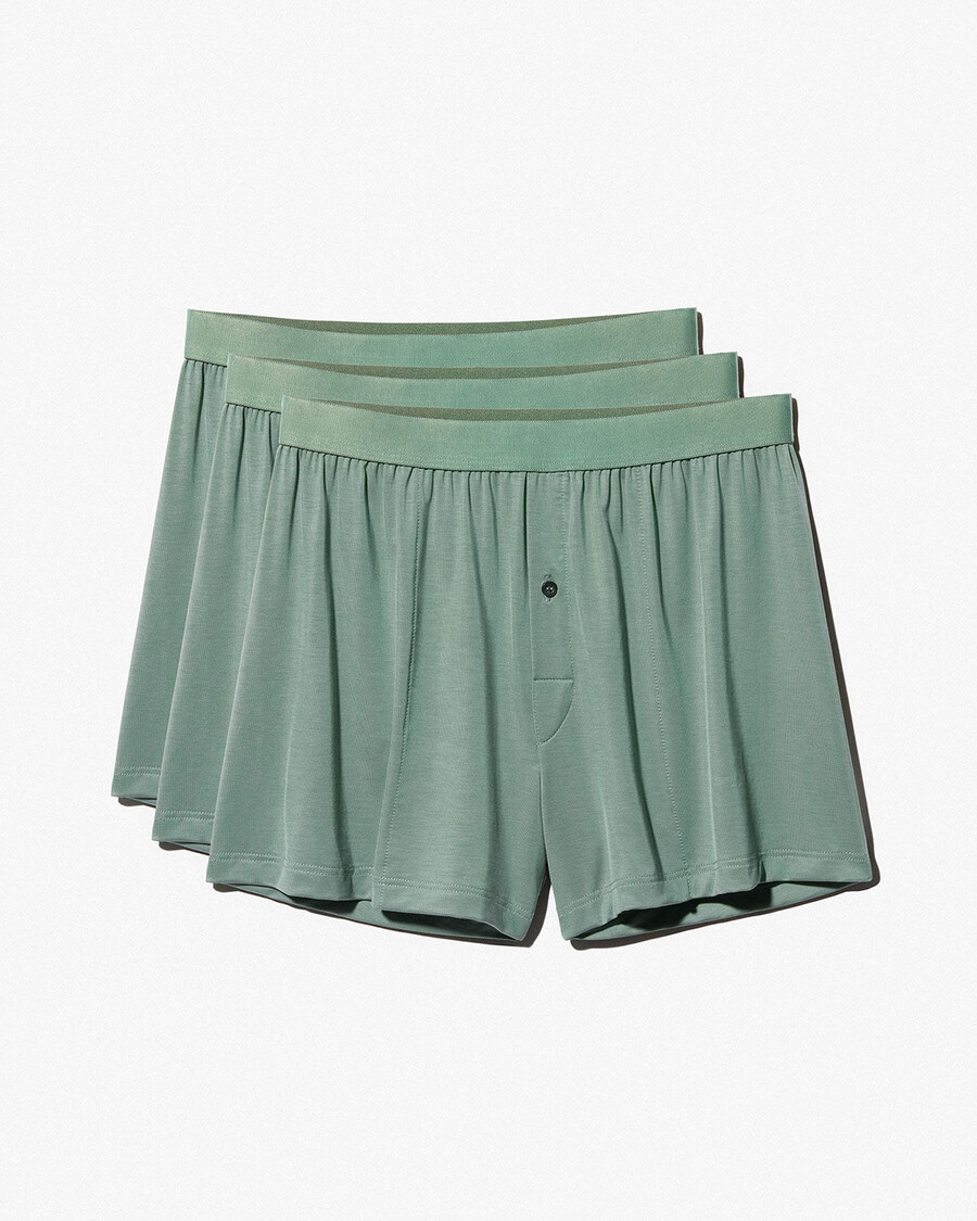 12 herren-boxershorts in salbeigrün jetzt kaufen — cdlp