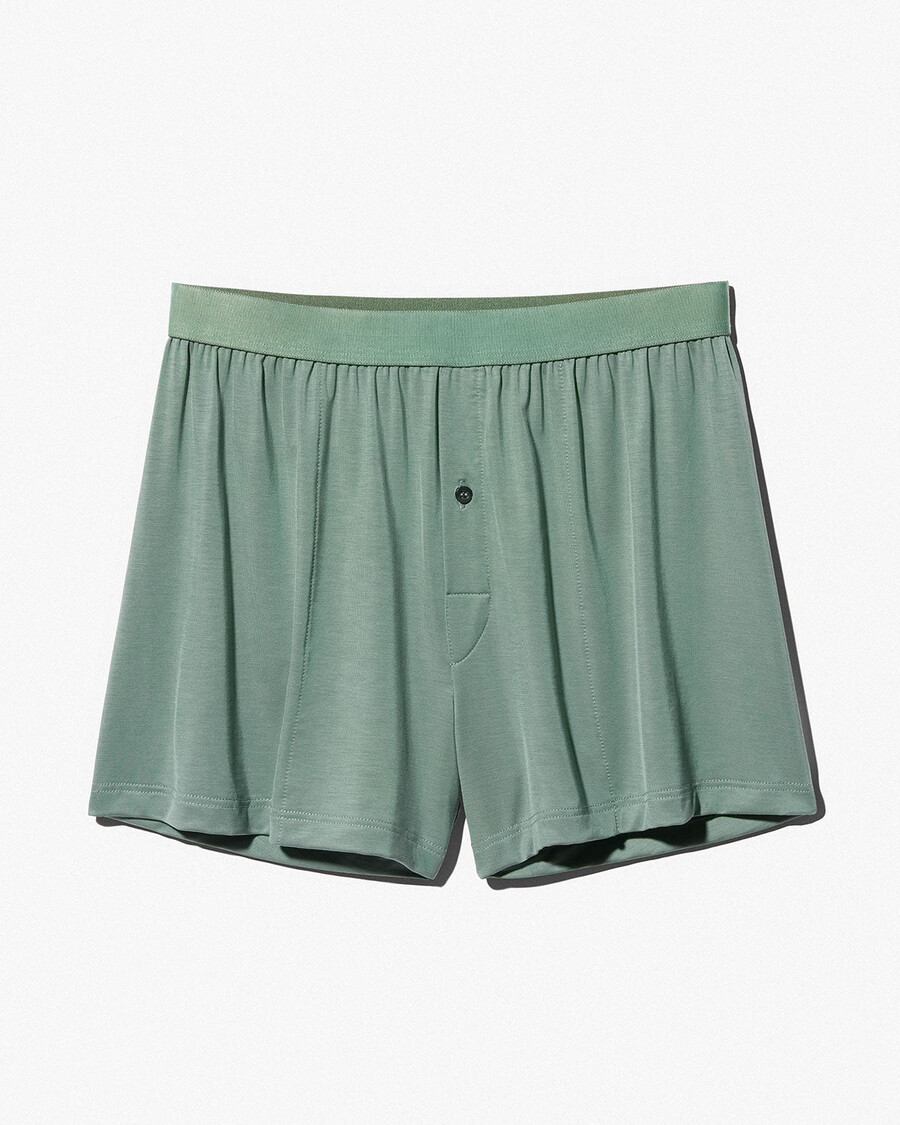 herren-boxershorts in salbeigrün jetzt kaufen — cdlp