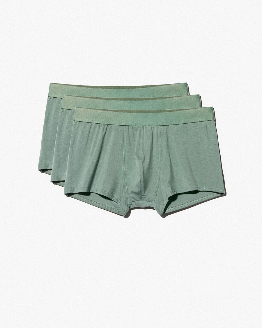 6 × herren-boxershorts in salbeigrün jetzt kaufen — cdlp