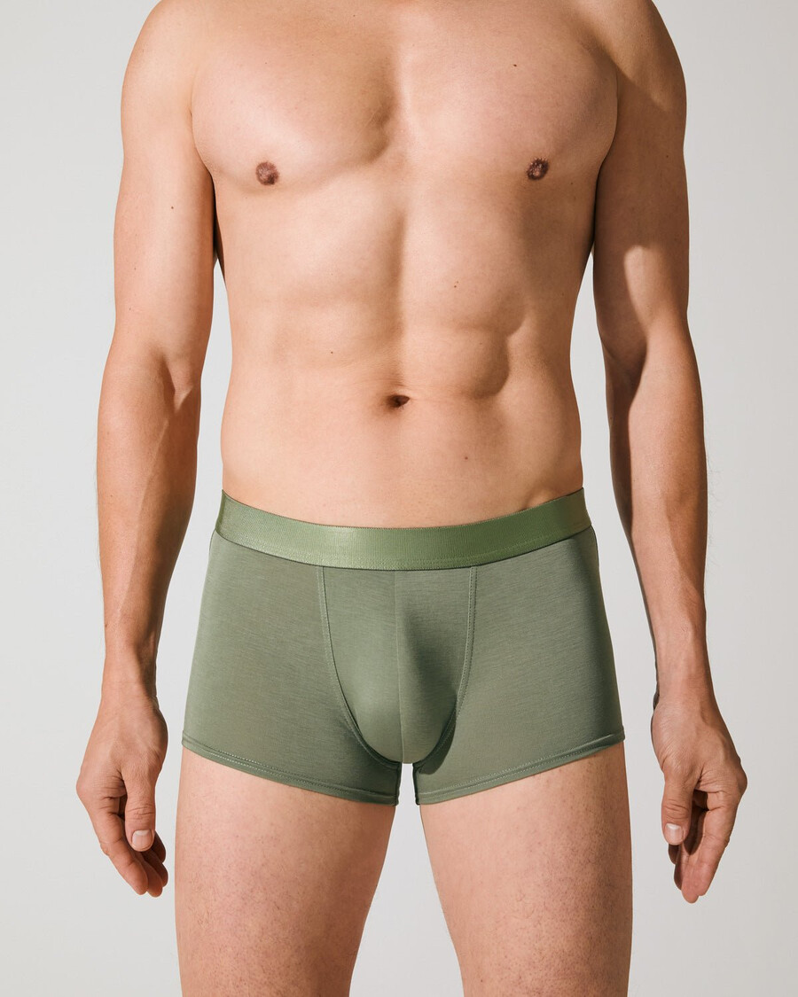 herren-boxershorts in salbeigrün jetzt kaufen — cdlp