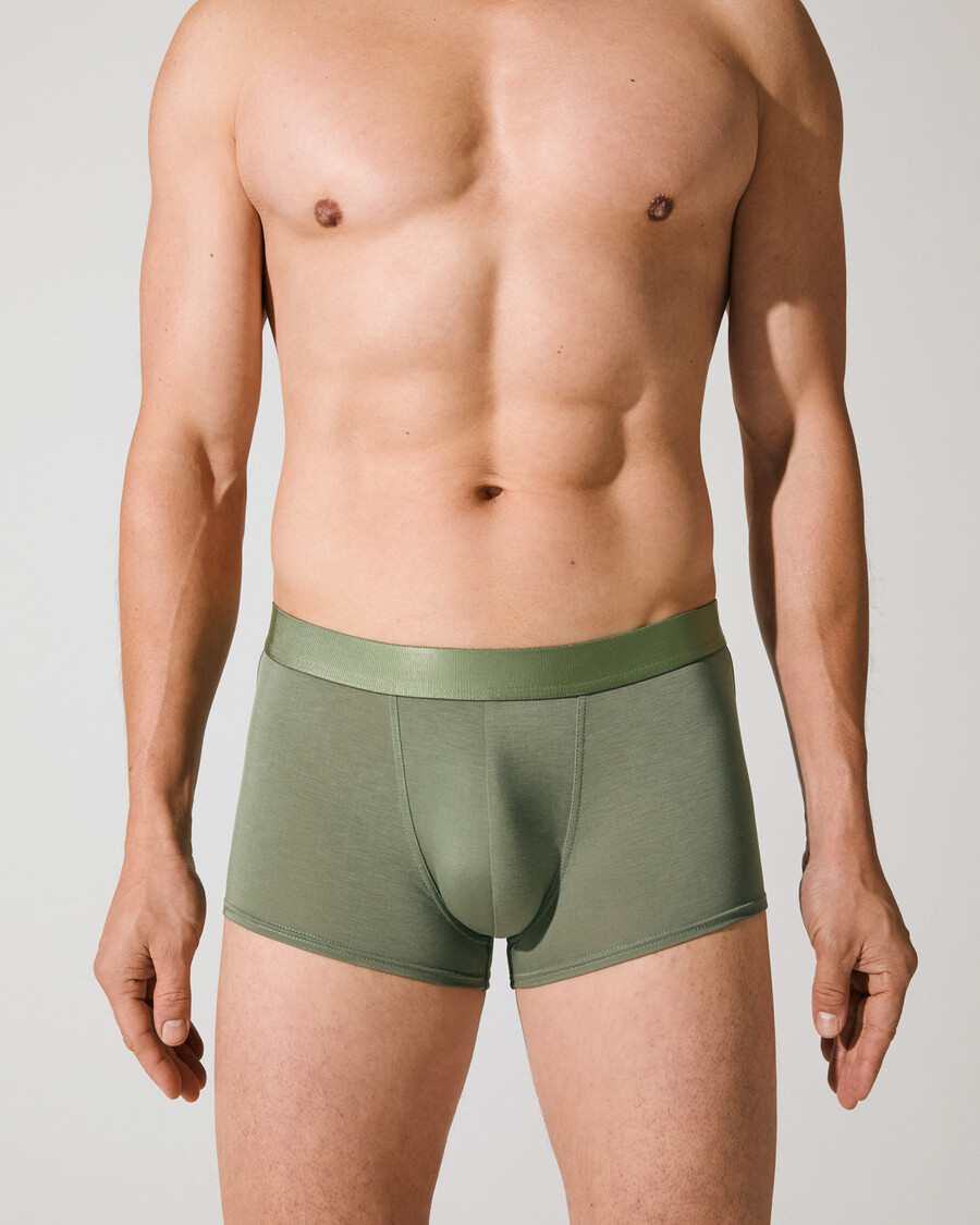 12 herren-boxershorts in schwarz weiß und salbei jetzt kaufen — cdlp