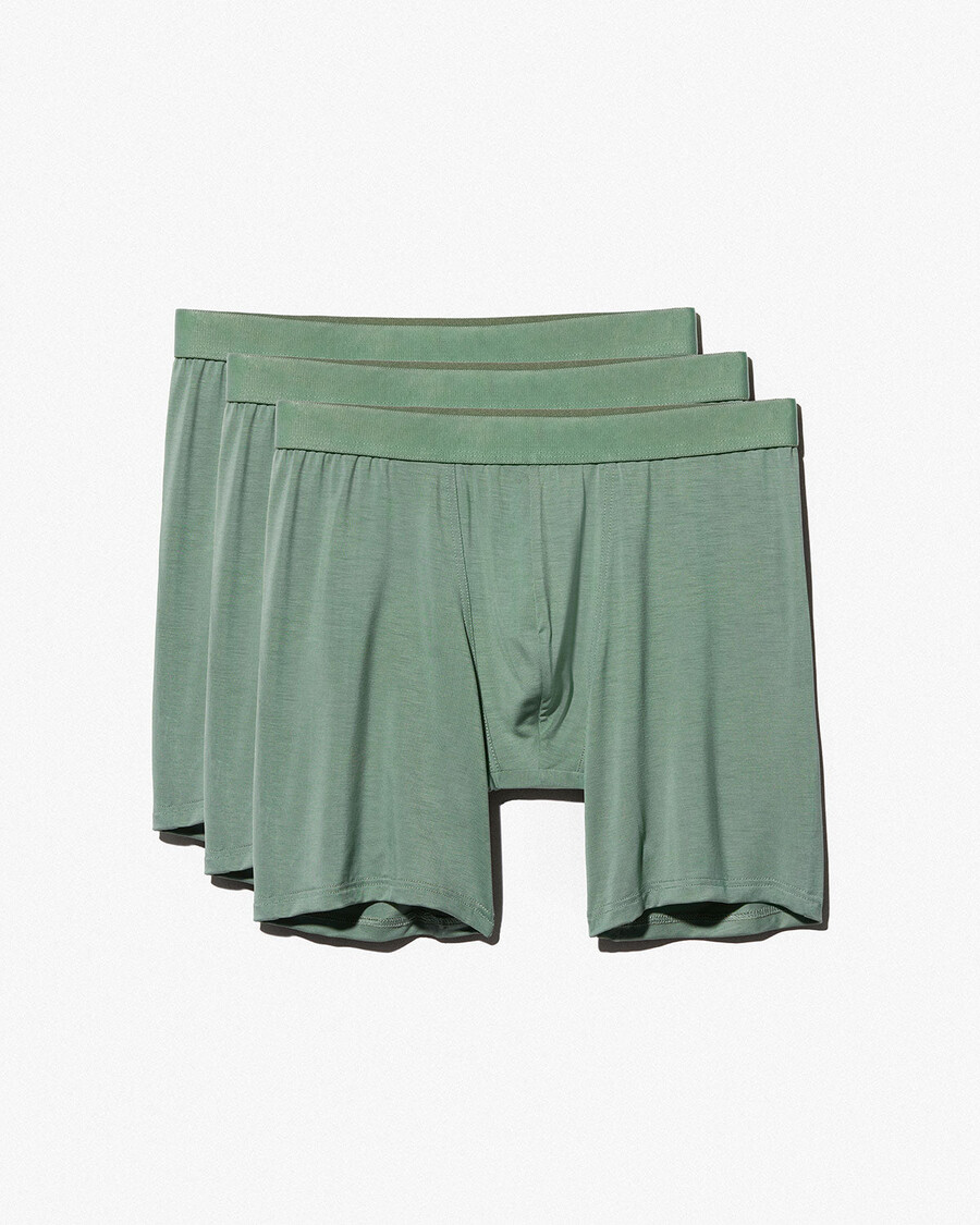 12 x herren-boxershorts lang in salbeigrün jetzt kaufen — cdlp