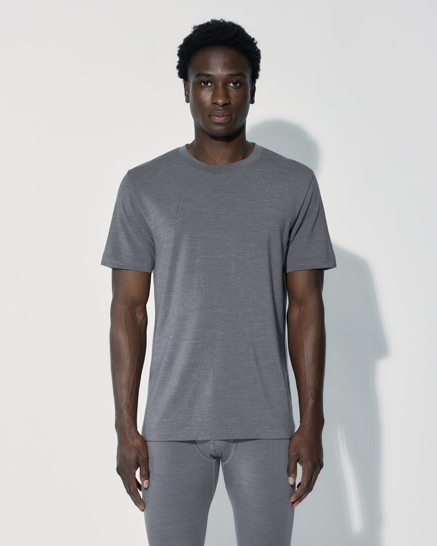 herren-t-shirt aus merinowolle in graumeliert jetzt kaufen — cdlp