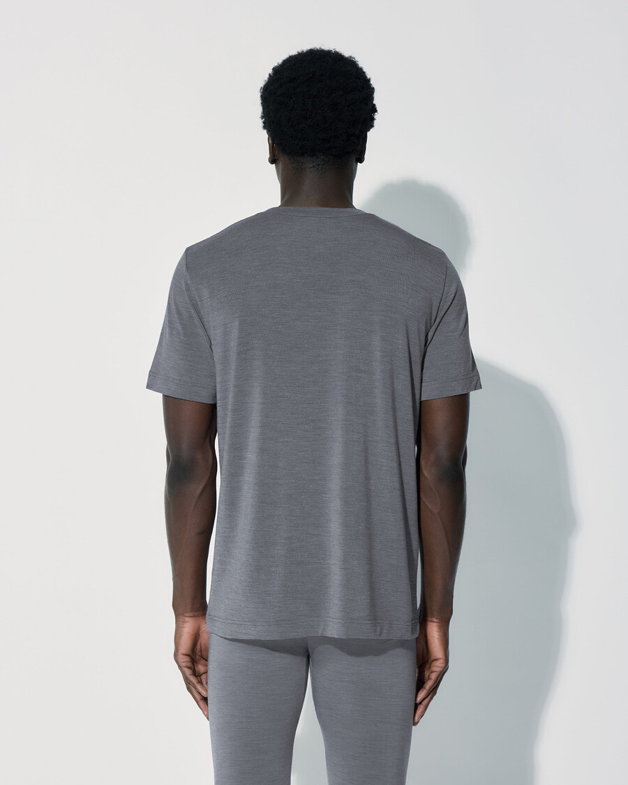 herren-t-shirt aus merinowolle in graumeliert jetzt kaufen — cdlp