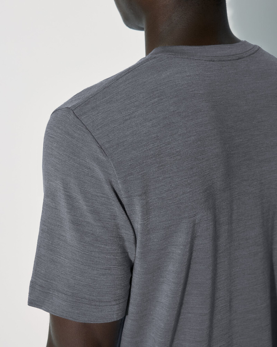 herren-t-shirt aus merinowolle in graumeliert jetzt kaufen — cdlp
