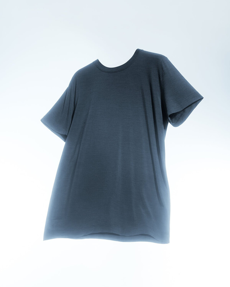 herren-t-shirt aus merinowolle in graumeliert jetzt kaufen — cdlp