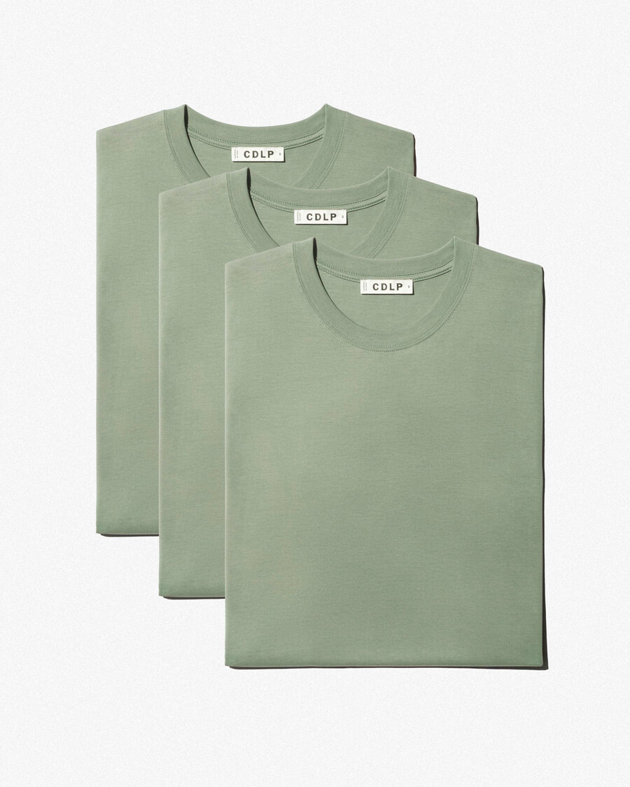 3 x herren-t-shirt mittelschwer in salbeigrün jetzt kaufen — cdlp